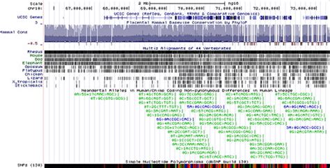 Ucsc Genome Browser Haussler Lab Haussler Salama Lab