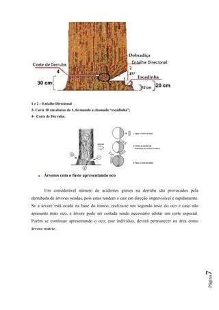 Nome Do Cara Que Corta Arvore - Apostila corte das_arvores | PDF