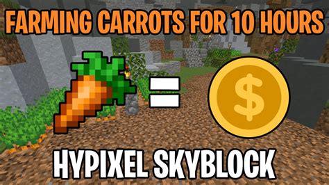 Are Carrots A Effective Way To Make Money Hypixel Skyblock Youtube