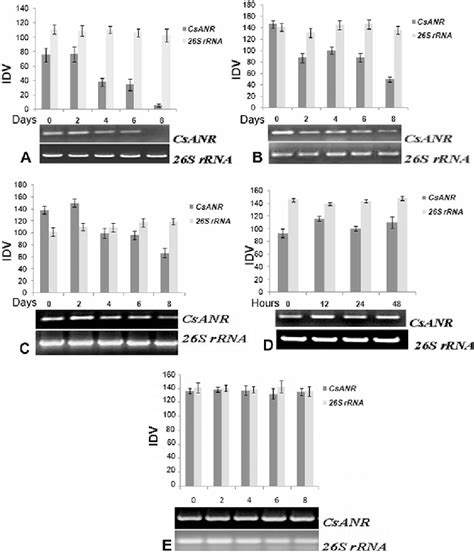 Effects Of DS A ABA Treatment 100 LM B GA 3 Treatment 50 LM