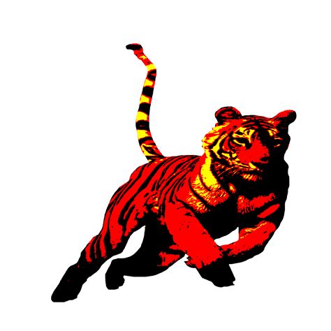 Icon Tiger King Of The Jungle 24560050 Png