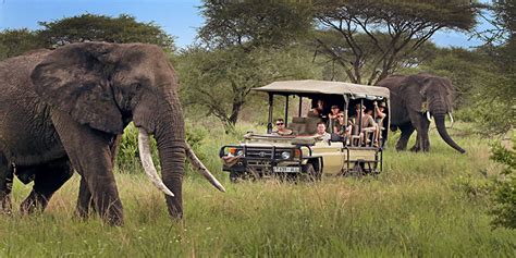 Tanzania Safari and Zanzibar Holiday 13 Days - Adventure Makers