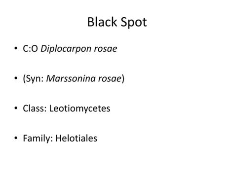 Diseases Of Rose Crown Gall Rot Black Spot Powdery Mildew Of Rose