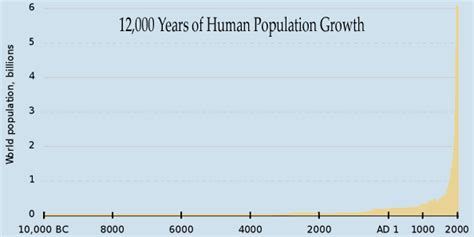 Understanding The Exponential Function