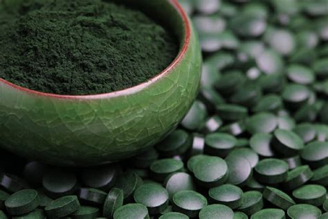 Spirulina Niebiesko Zielona Alga I Jej Niezliczone Prozdrowotne