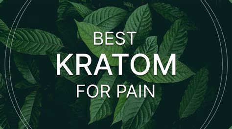 Best Kratom For Pain High Quality Brands And Strongest Strains Brand Buzz Lost Coast Outpost