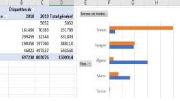 TUTO Excel Tableaux croisés dynamiques sur Tuto