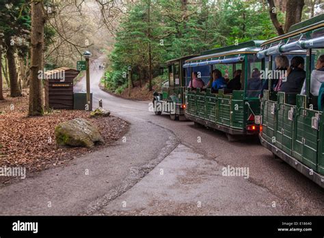 Train Center Parcs Hi Res Stock Photography And Images Alamy