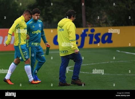 Sao Paulo Brazil Th Sep Treino Do Palmeiras In The Picture