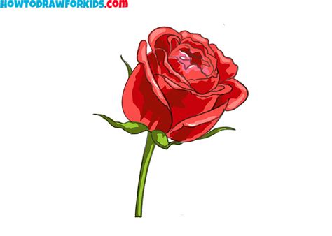 How to Draw a Realistic Flower - Easy Drawing Tutorial For Kids