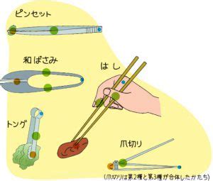 てこの原理を使った道具 - syncraxa