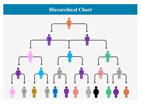 Hierarchical Chart | Organizational chart design, Org chart ...