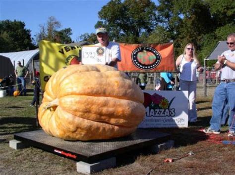 The Worlds Biggest Vegetables Networx