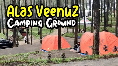 Bulan Ramadhan Masih Ada Yang Camping Di Alas Veenuz Trawas YouTube