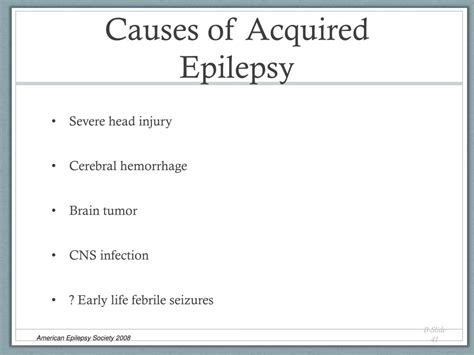 Ppt Basic Mechanisms Underlying Seizures And Epilepsy Powerpoint