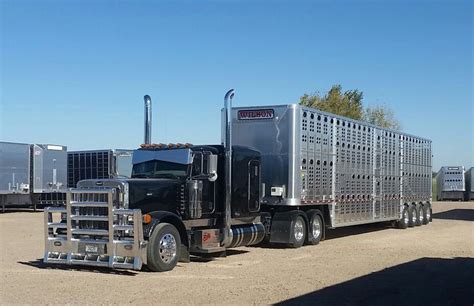 Wilson Trucking New Quad Axle Cattle Trailers Peterbilt Trucks