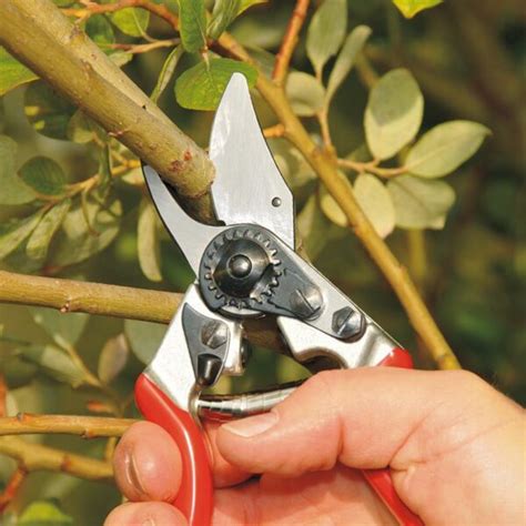 Felco Model 6 Compact Bypass Secateurs