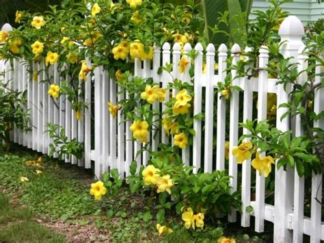 What Is The Easiest Fence To Install Yourself Toolsowner