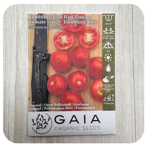 Tomato Tumbling Tom Seeds Organic Davenport Garden Centre