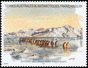 Stamp Emperor Penguin Aptenodytes Forsteri French Southern And