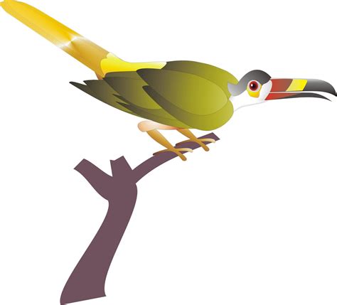 Design Love 88 Gambar Objek Burung Kepodang