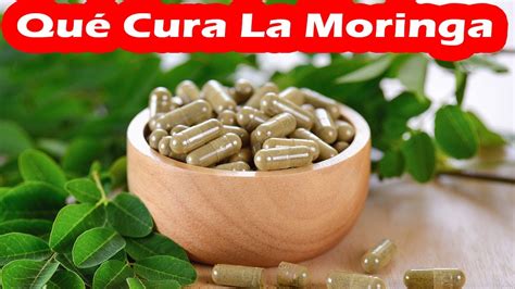 Para Que Sirve La Moringa Sus Impresionantes Beneficios Y Propiedades