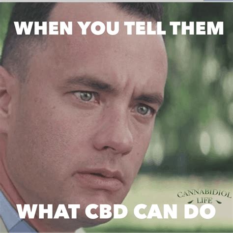 100 Best Cbd Memes Cannabidiol Life