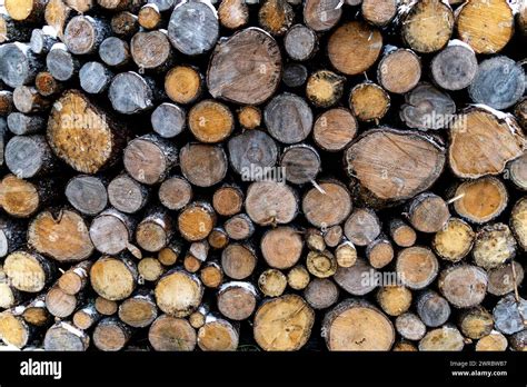 wood stack cut ends stock photo alamy