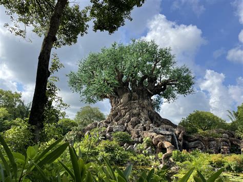 Extended Evening Hours Coming to Disney's Animal Kingdom for the First