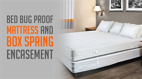 Bud Bug Proof Mattress Box Spring Encasement Omland Hospitality