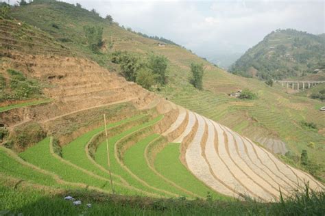 Sapa Half Day Hard Trekking Villages Trip With Lunch Guide