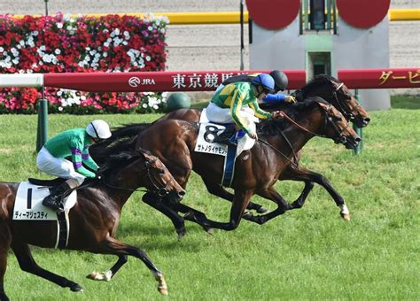 新極ウマ・プレミアム日刊スポーツ Horse Racing Thoroughbred Horses