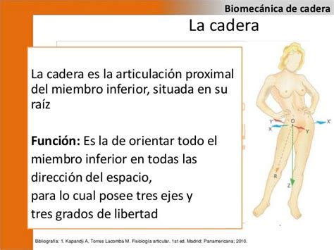 Biomecánica de cadera Ecards Memes Human Leg Degree Of A Polynomial