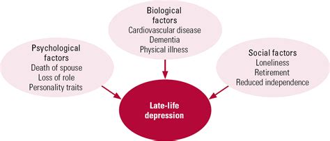 Review Of Treatment For Late Life Depression Advances In Psychiatric Treatment Cambridge Core