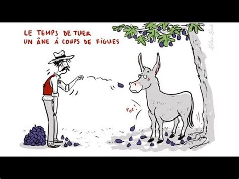 El Coyote l assassin d âne a coup de figues terrelune2891 YouTube