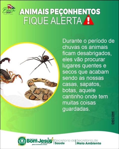 Animais Pe Onhentos Fique Alerta Prefeitura Municipal De Bom Jesus