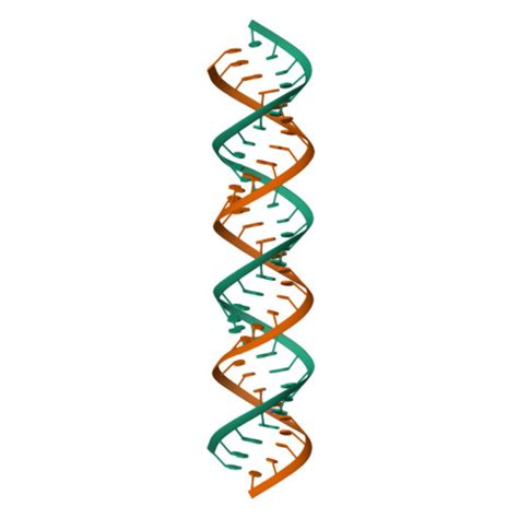 Rcsb Pdb Da Atomic Resolution Crystal Structure Of Double Stranded