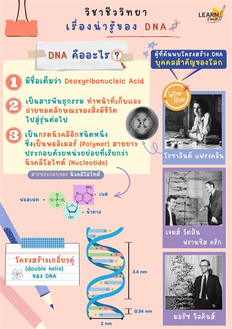 Altv ช่อง 4 Learn Small วิชาชีววิทยา เรื่องน่ารู้ของ Dna