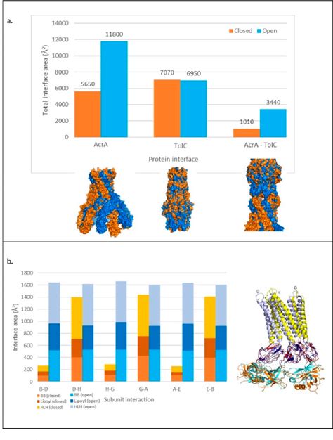 PDF A Model For Allosteric Communication In Drug Transport By The