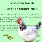 Exposition Avicole Waldighoffen Du Samedi Au Dimanche