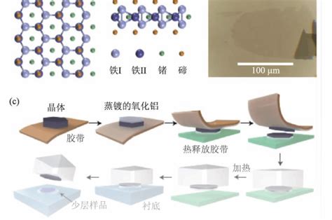 Ws2二硫化钨、wse2二硒化钨过渡金属二硫化物 纳米 齐岳生物品牌：齐岳生物西安 盖德化工网