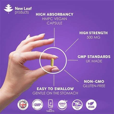 Quercetin Supplement 500mg High Strength Antioxidant Capsule | Health ...