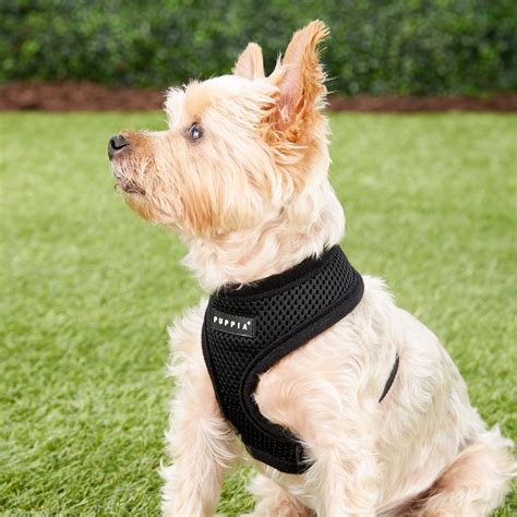 Puppia Soft Dog Harness Black X Small