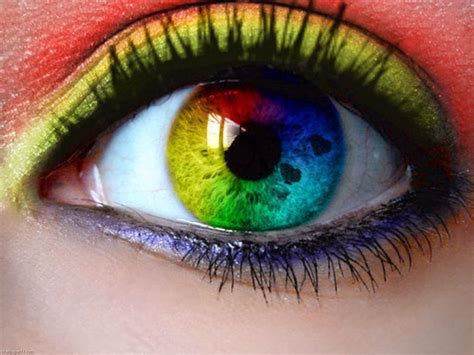 🔥 [50+] Rainbow LGBT Wallpapers | WallpaperSafari