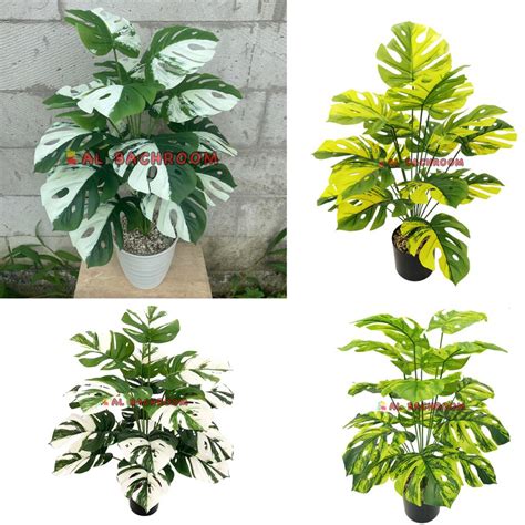 Jual TANAMAN PLASTIK DAUN MONSTERA VARIEGATA B8187 D18 DAN D12 BUNGA