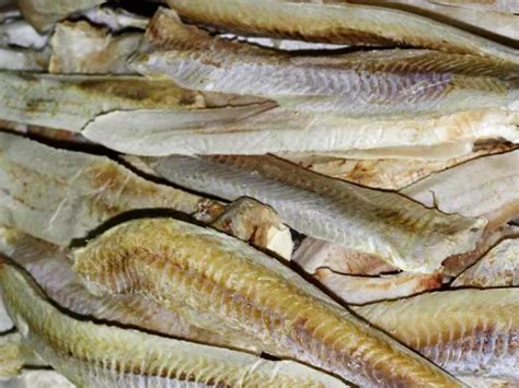 White Fish | Kashevar