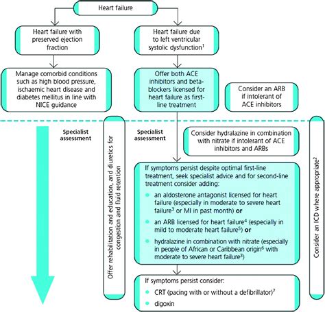 The Diagnosis And Management Of Chronic Heart Failure Review Following