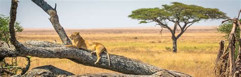 Voyages Organisés En Groupe En Afrique Weroad