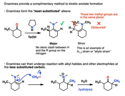 Kinetic Versus Thermodynamic Enolates