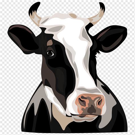 Black White And Brown Cow Illustration Holstein Friesian Cattle Cow